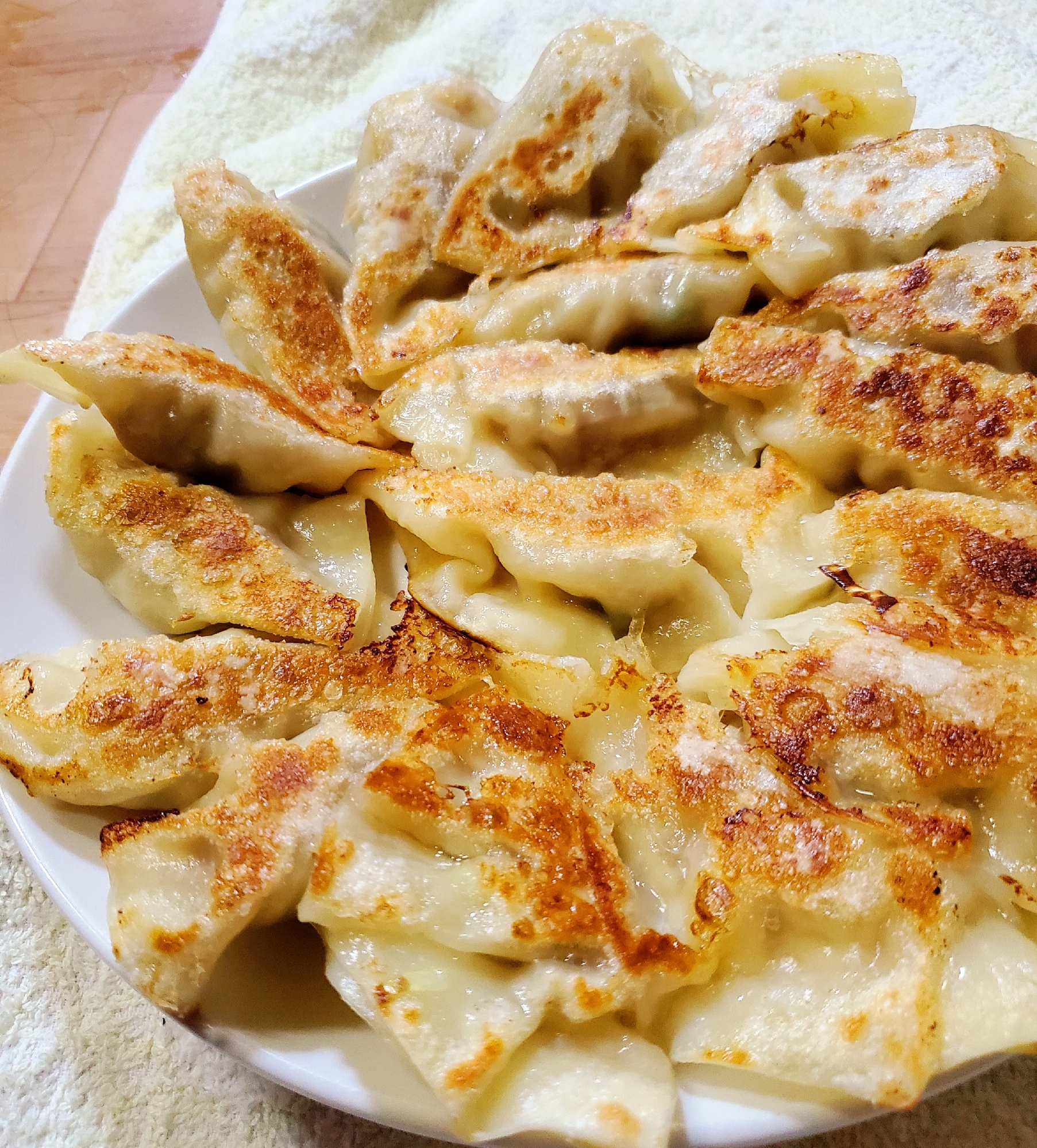 粗挽き肉とキャベツの美味しい餃子