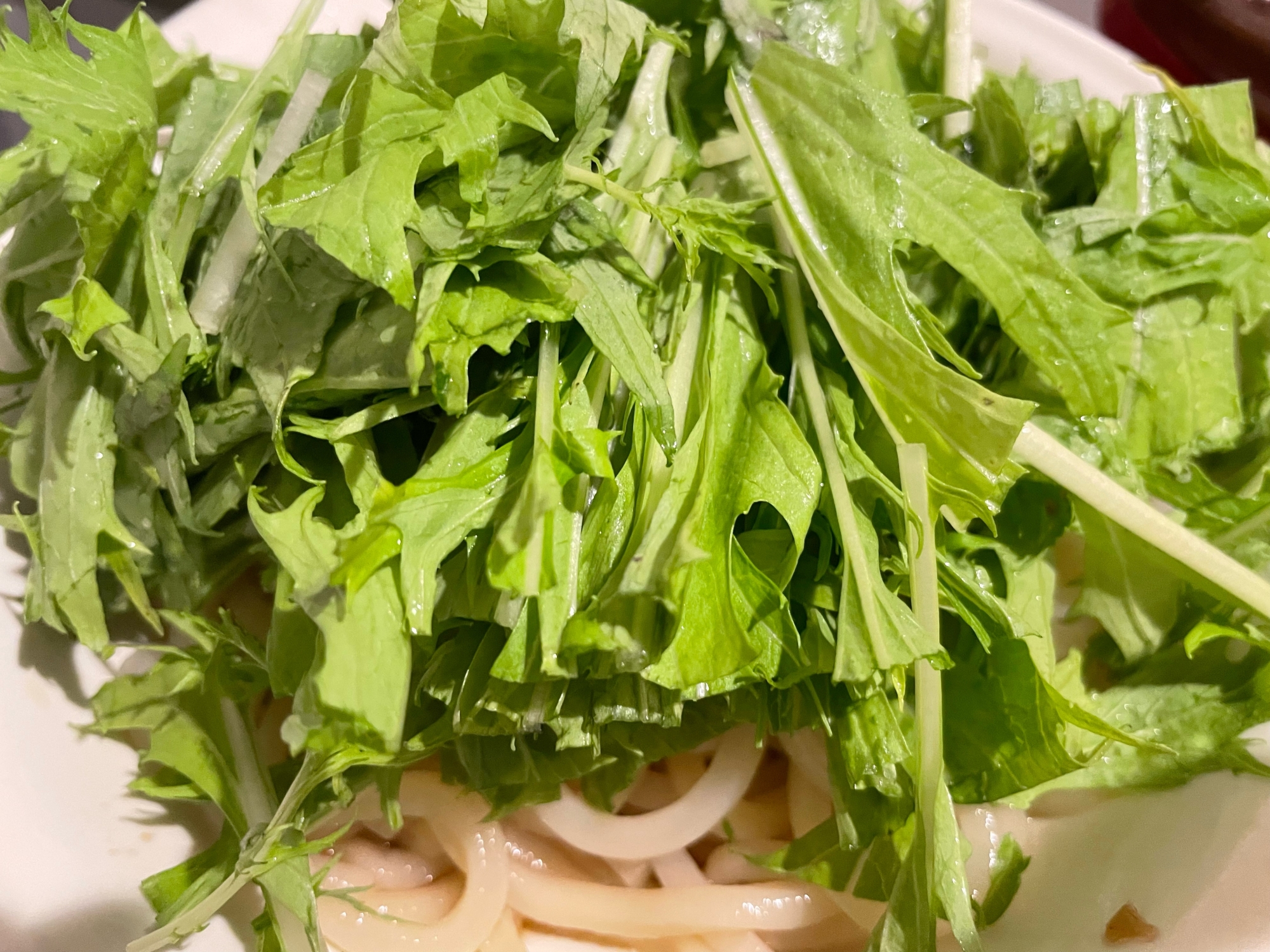 水菜のサラダうどん