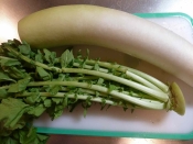 あると便利 栄養満点大根葉の冷凍保存 レシピ 作り方 By Kouaya2319 楽天レシピ あると便利 栄養満点大根葉の冷凍保存 レシピ 作り方 By Kouaya2319 楽天レシピ