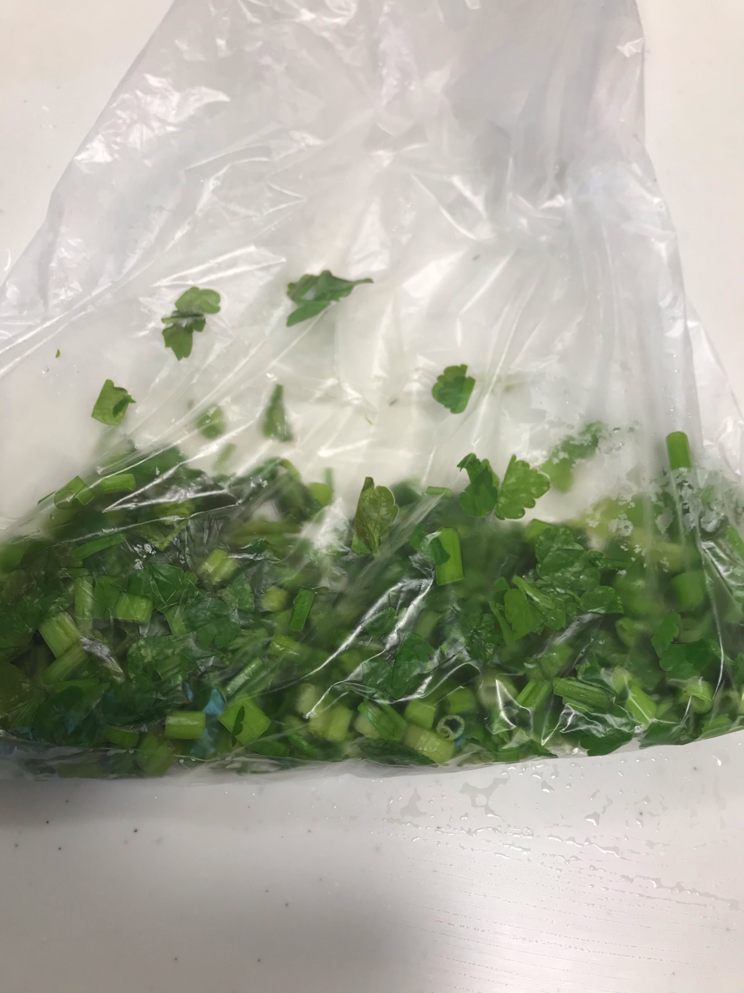 セリの冷凍保存法 レシピ 作り方 By You花凛 楽天レシピ セリの冷凍保存法 レシピ 作り方 By You花凛 楽天レシピ