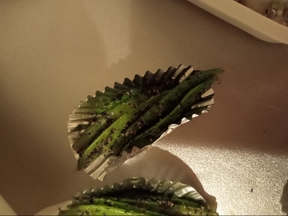 スナップエンドウのおかかマヨネーズ和え