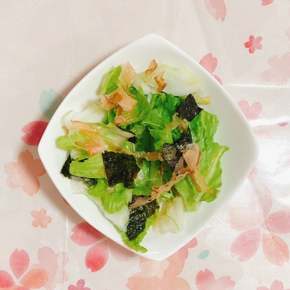 白菜の海苔おかかサラダ
