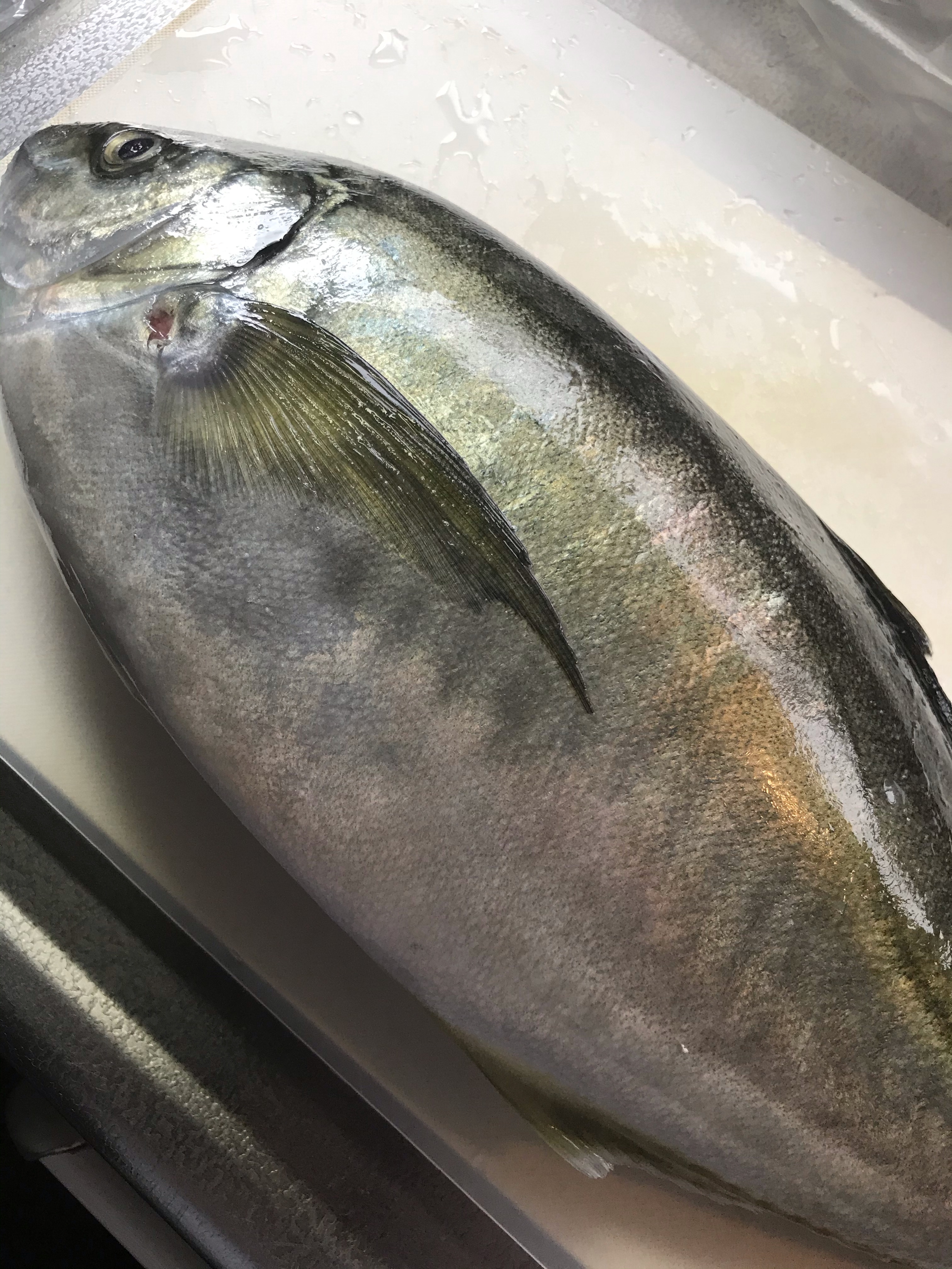 シマアジのお刺身 レシピ 作り方 By まゆぱとら 楽天レシピ シマアジのお刺身 レシピ 作り方 By まゆぱとら 楽天レシピ