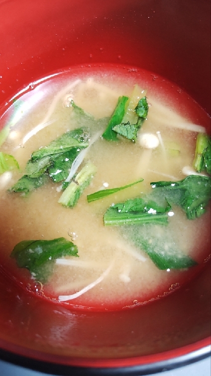 小松菜えのき♪こくのあるお味噌汁