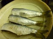 ままかりの唐揚げ バジルマヨネーズソース レシピ 作り方 By 菜 S サイズ 楽天レシピ