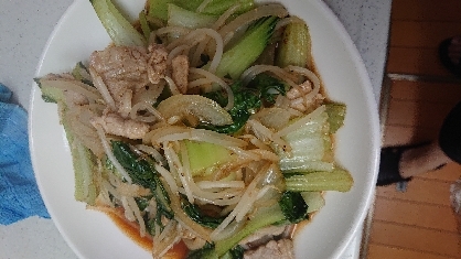 もやしとキャベツ豚肉の中華炒め