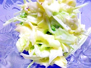 キャベツと水菜の粒マスタードサラダ♡