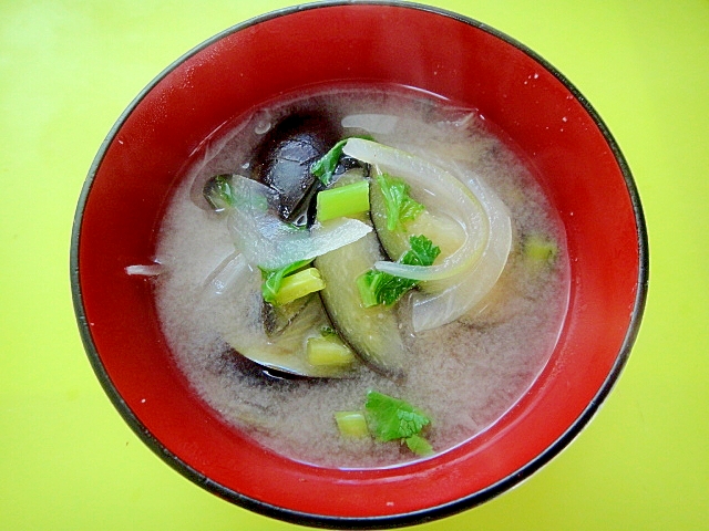 茄子と玉ねぎ大根の味噌汁