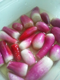 二十日大根の甘酢漬け レシピ 作り方 By ゆーひーちょん 楽天レシピ 二十日大根の甘酢漬け レシピ 作り方 By ゆーひーちょん 楽天レシピ