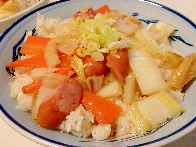 白菜とウインナーの丼