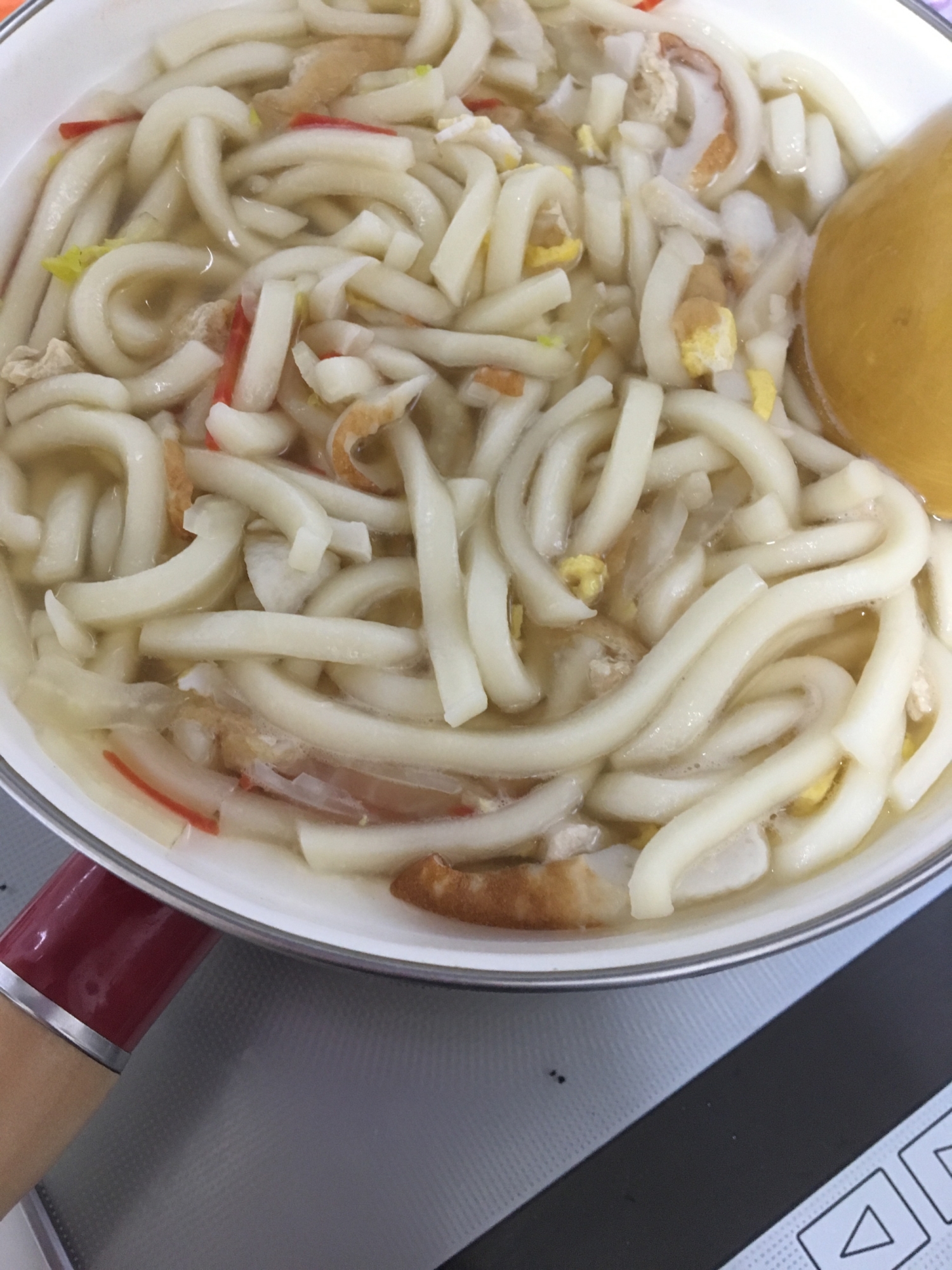 鶏胸肉と京人参の煮込みうどん╰(*´︶`*)╯♡