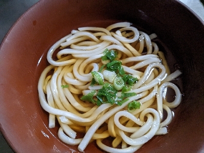 シンプル♪ちょこっと温うどん♪