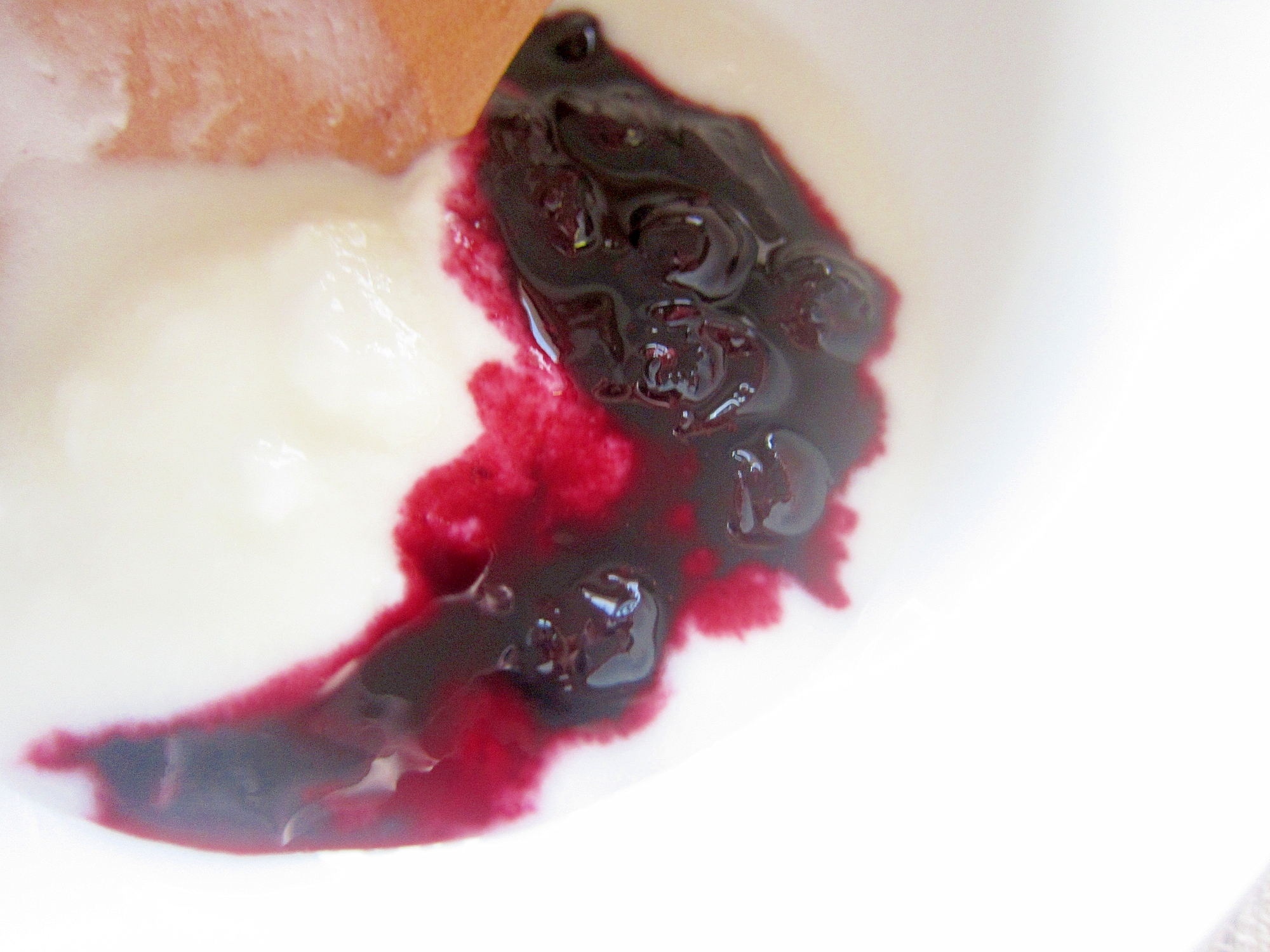 ブルーベリーと氷砂糖グリルのヨーグルト レシピ 作り方 By Skip Right 楽天レシピ