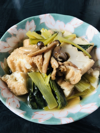 甘辛い味付けで野菜ときのこを美味しく食べられて良いですね。
厚揚げにも味がしっかり染みていて上手く出来たと思います。