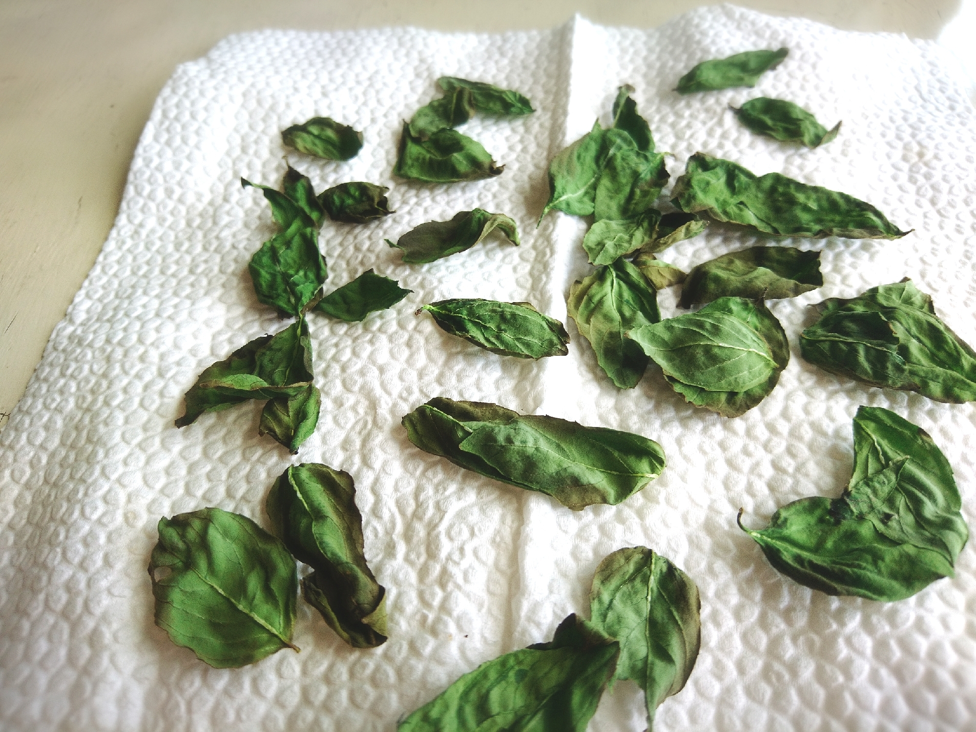 乾燥バジルの作り方 レシピ 作り方 By ネロ助２０１１ 楽天レシピ