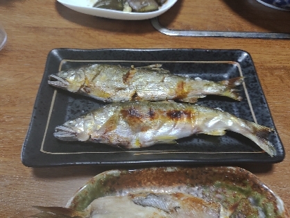 魚焼きグリルを使った鮎の塩焼き