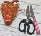 伊勢えびボイル 捌き方詳細写真有 保存版 レシピ 作り方 By Mimi Chin 楽天レシピ