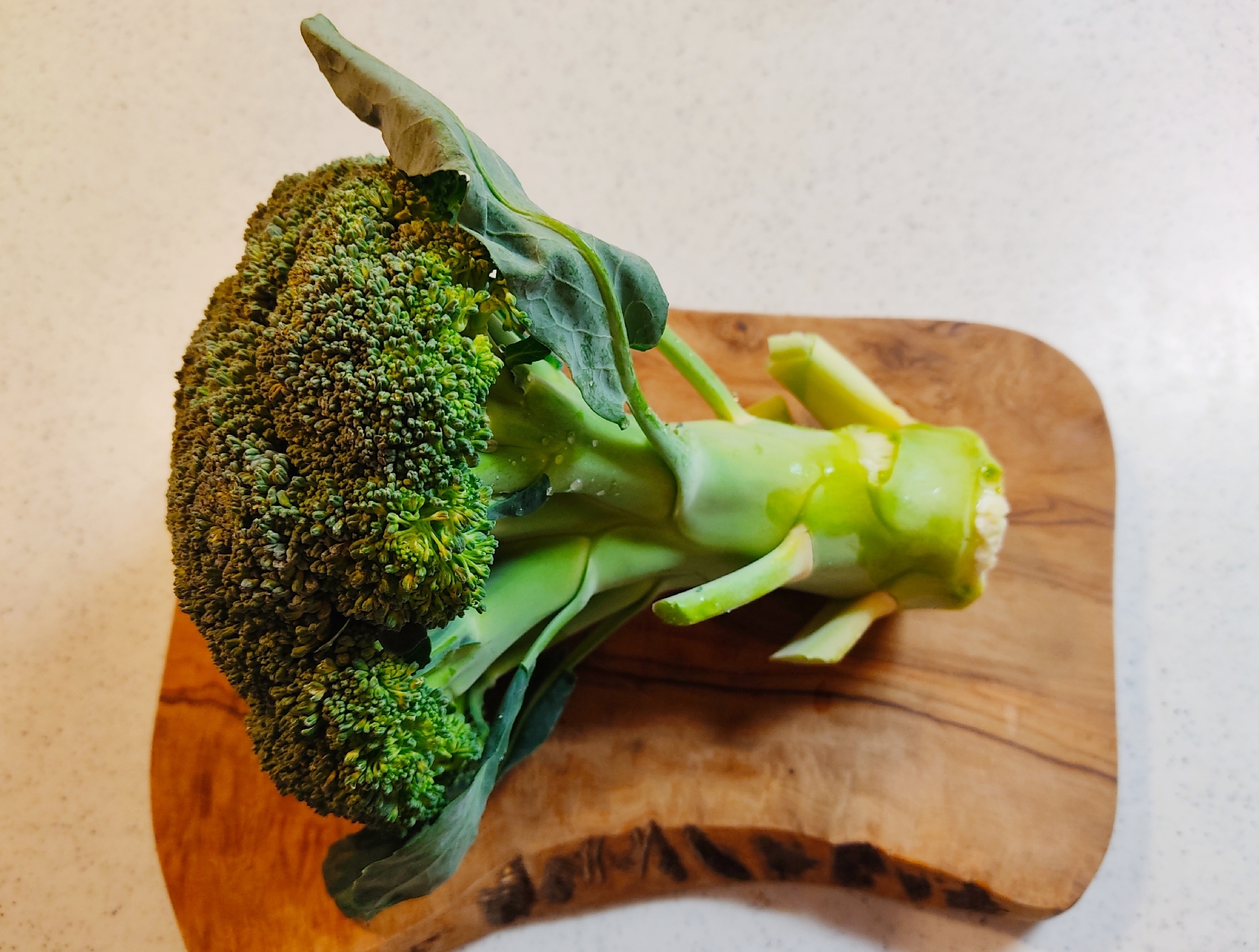 丸ごと ブロッコリーの切り方 写真解説付き レシピ 作り方 By Makicchi 楽天レシピ 丸ごと ブロッコリーの切り方 写真解説付き レシピ 作り方 By Makicchi 楽天レシピ