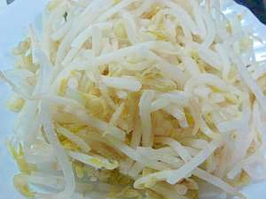 冷凍できるよ!賢いもやしの保存法