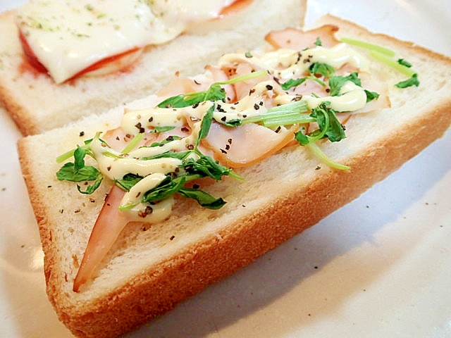 スモークサラダチキンと豆苗のスパイシートースト