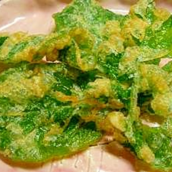 ラディッシュの葉を美味しく食べる天婦羅 レシピ 作り方 By スパイダーmkr 楽天レシピ ラディッシュの葉を美味しく食べる天婦羅 レシピ 作り方 By スパイダーmkr 楽天レシピ