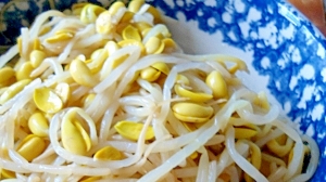 さっぱり ほんのり酸っぱい 豆もやしのナムル レシピ 作り方 By ｒｂｓ0151 楽天レシピ