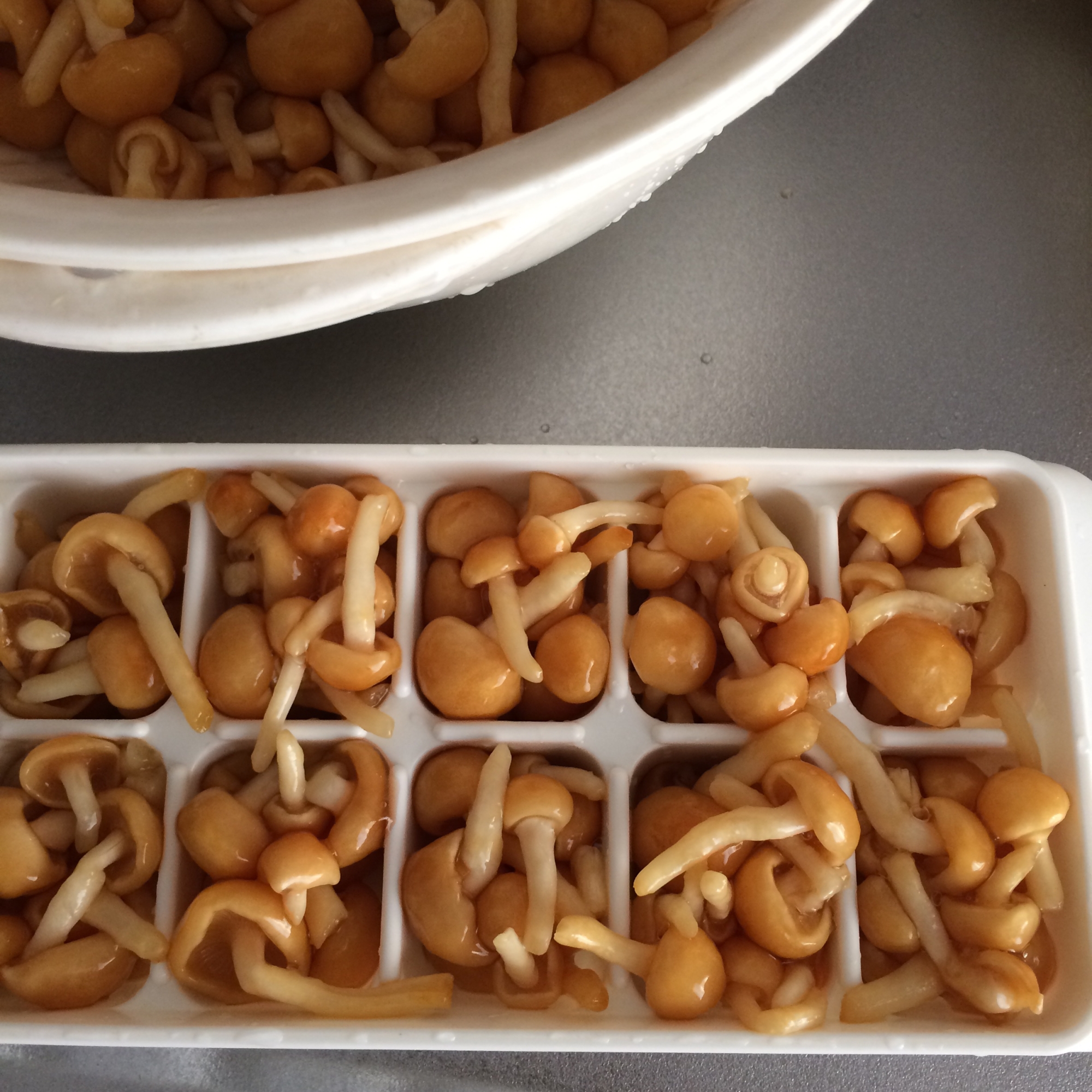 冷凍保存 なめこの冷凍方法 レシピ 作り方 By 管理栄養士 えり 楽天レシピ 冷凍保存 なめこの冷凍方法 レシピ 作り方 By 管理栄養士 えり 楽天レシピ