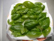 レンジで簡単 乾燥バジルの作り方 レシピ 作り方 By ヒマワリ 楽天レシピ レンジで簡単 乾燥バジルの作り方 レシピ 作り方 By ヒマワリ 楽天レシピ