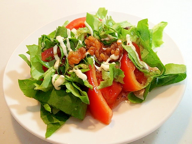 金山寺味噌のせて　トマトとサラダ菜の和風サラダ