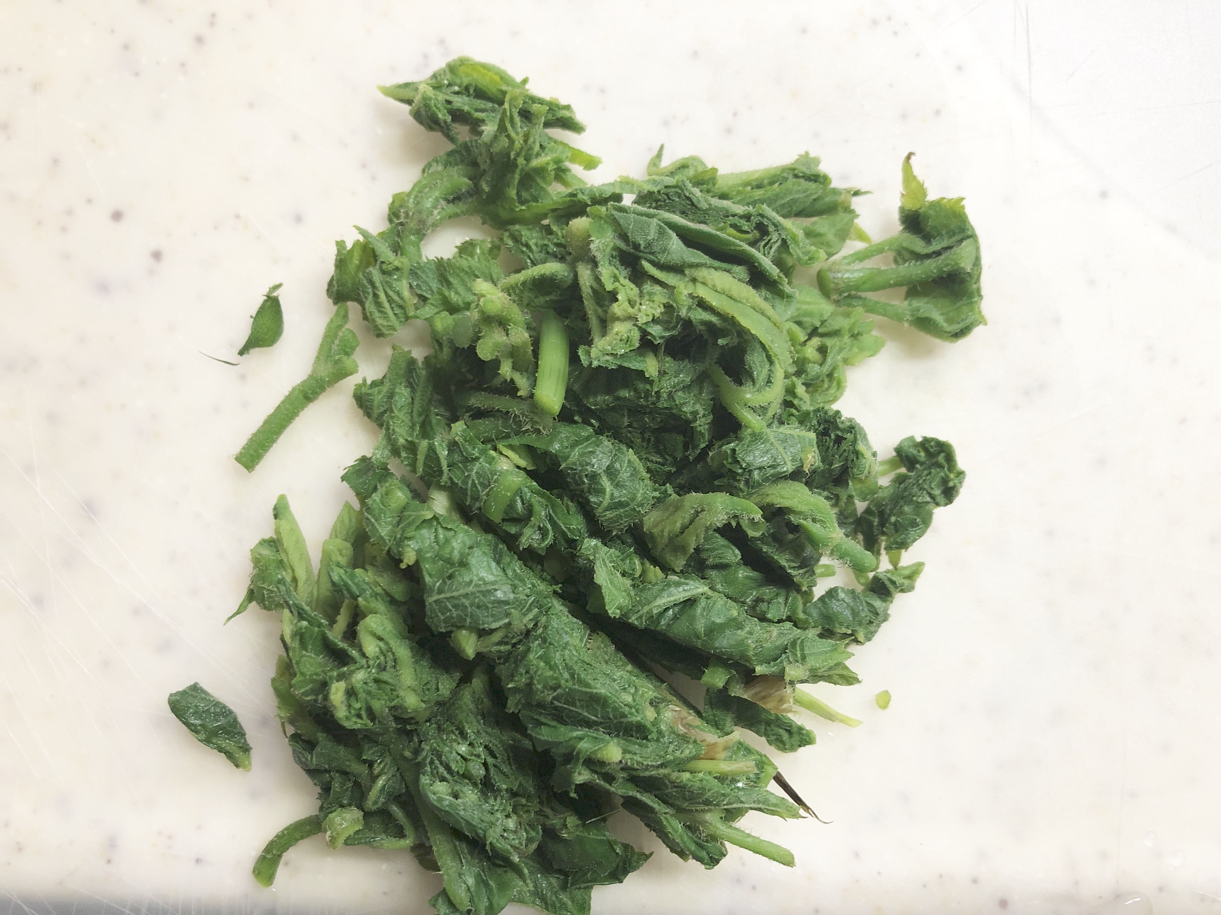 捨てるところなし 山うどの葉 麺つゆマヨ和え レシピ 作り方 By M H 楽天レシピ