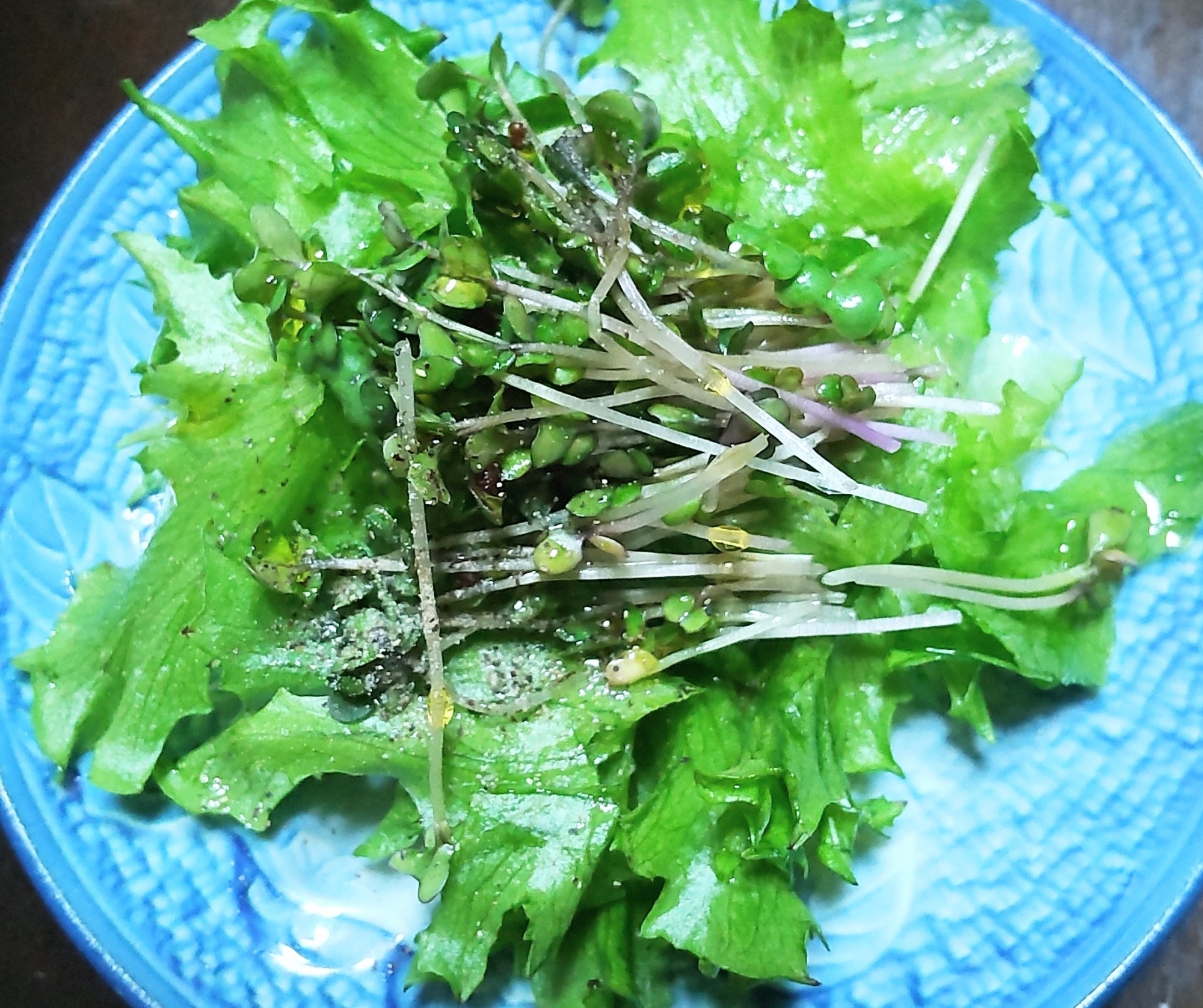 レタスとスプラウトのサラダ