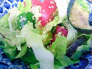 今朝の夏野菜サラダ　ごま塩味