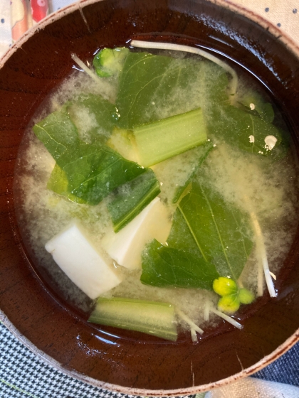 豆腐とねぎと小松菜とごまの味噌汁