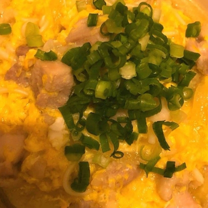 夏向きあっさりつゆだく親子丼