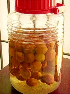 青梅と完熟梅で作る☆我が家の梅酒