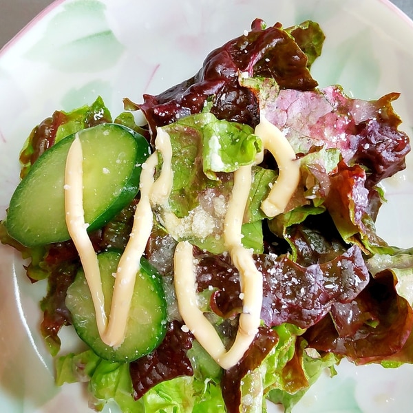 フレンチドレッシングマヨで生野菜サラダ レシピ 作り方 By Diamond K 楽天レシピ フレンチドレッシングマヨで生野菜サラダ レシピ 作り方 By Diamond K 楽天レシピ