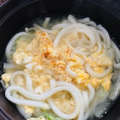 ふんわり卵とネギのうどん