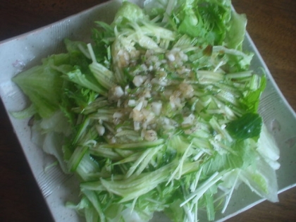 こっちは生野菜サラダにかけたよ♪(=･ω･=)ﾉ
ドレッシングが美味しいからモリモリ食べれるｖプチダイエッターだから野菜たくさん食べれるってウレシ♪レシピ感謝♪