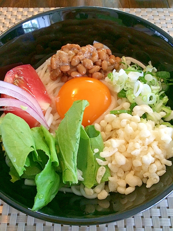 ぶっかけサラダうどん