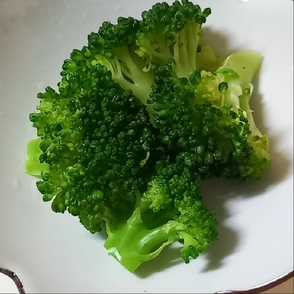 ホットクックで凝縮ブロッコリーの蒸し方