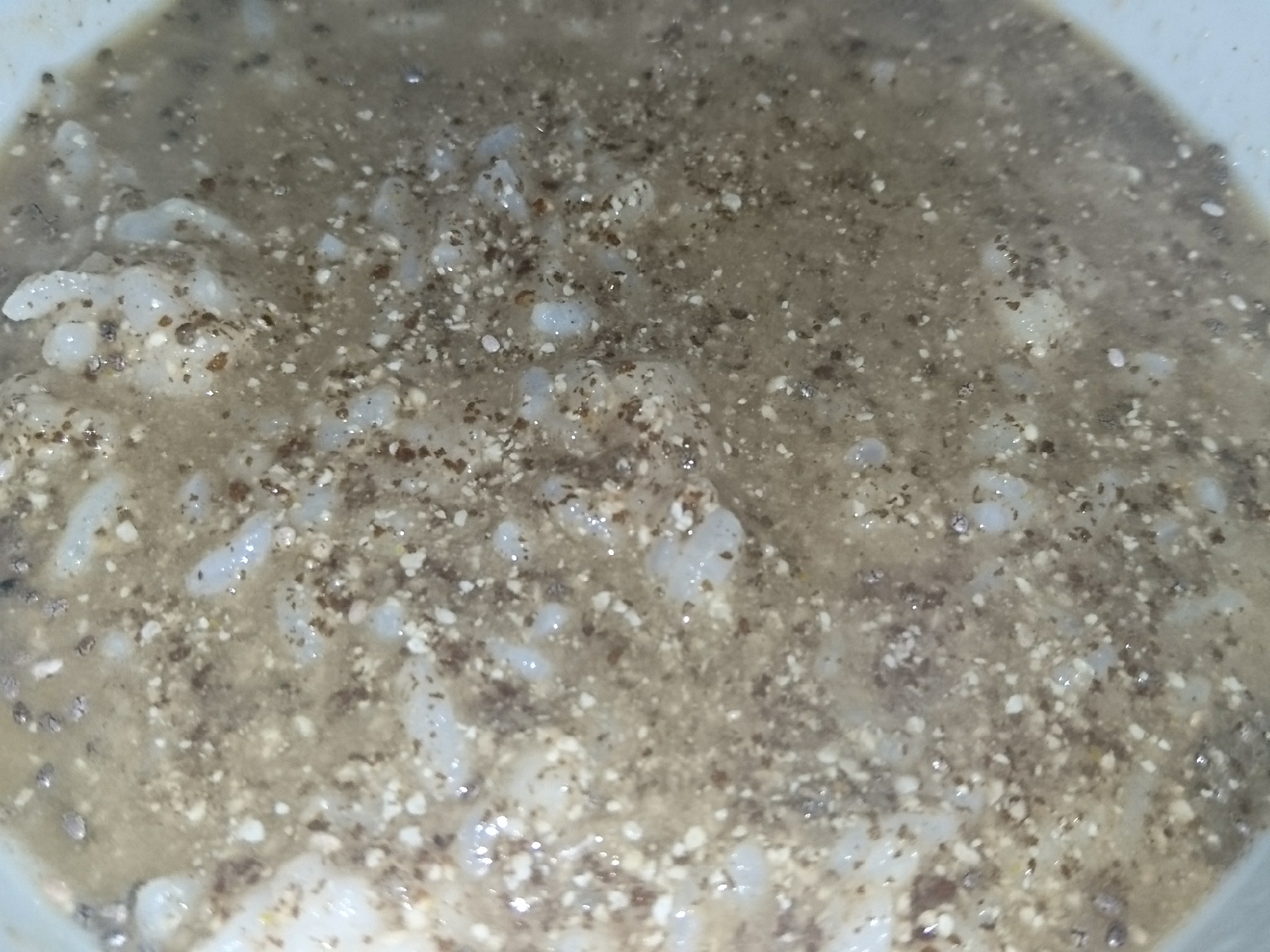 荏胡麻パウダーチアシードカレー粉お塩白米ご飯お粥