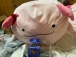 うぱベル2号*