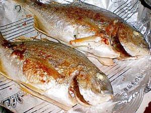 ホットプレートを使った焼き魚 魚の焼き方 鯛やアジ レシピ 作り方 By コリ6430 楽天レシピ