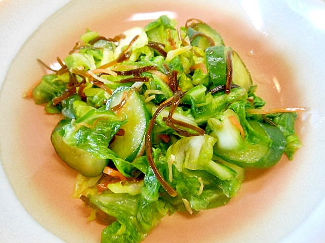 春キャベツと胡瓜の塩昆布即席漬け レシピ 作り方 By アルプスの乙女 楽天レシピ 春キャベツと胡瓜の塩昆布即席漬け レシピ 作り方 By アルプスの乙女 楽天レシピ