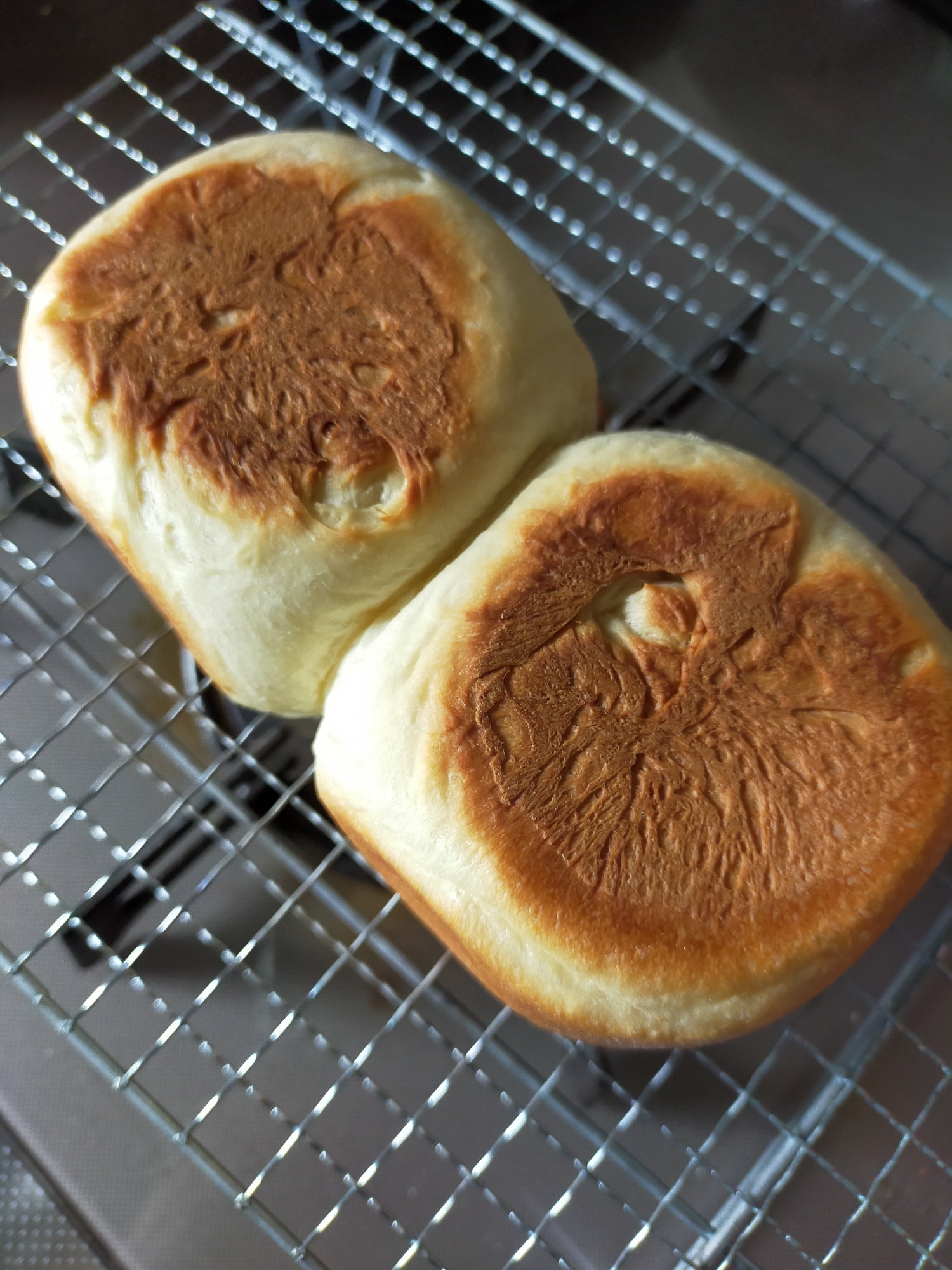 牛乳パンレシピ 作り方の人気順 簡単料理の楽天レシピ 牛乳パンレシピ 作り方の人気順 簡単料理の楽天レシピ