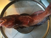 師匠直伝鮎魚女の煮付け レシピ 作り方 By Miashimatora 楽天レシピ