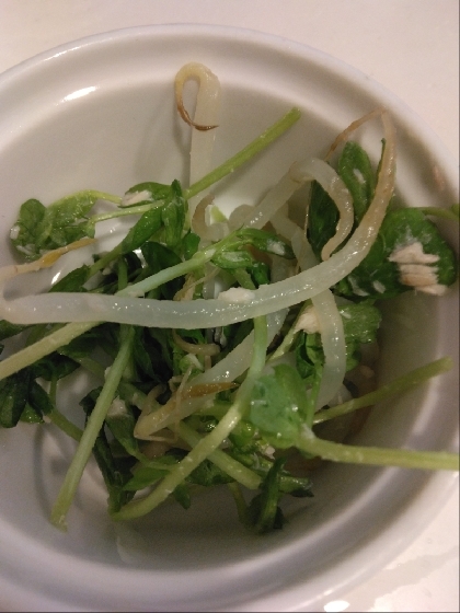 簡単！豆苗サラダ
