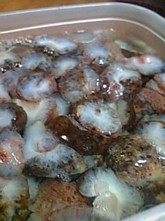 赤なまこのさばき方 レシピ 作り方 By scrit 楽天レシピ 赤なまこのさばき方 レシピ 作り方 By scrit 楽天レシピ