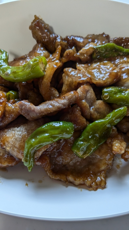 醤油の匂いが香ばしく、シシトウのピリ辛味でご飯がすすむ美味しい一品でした。ご馳走様でした！