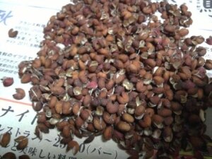 粉 山椒 の 作り方